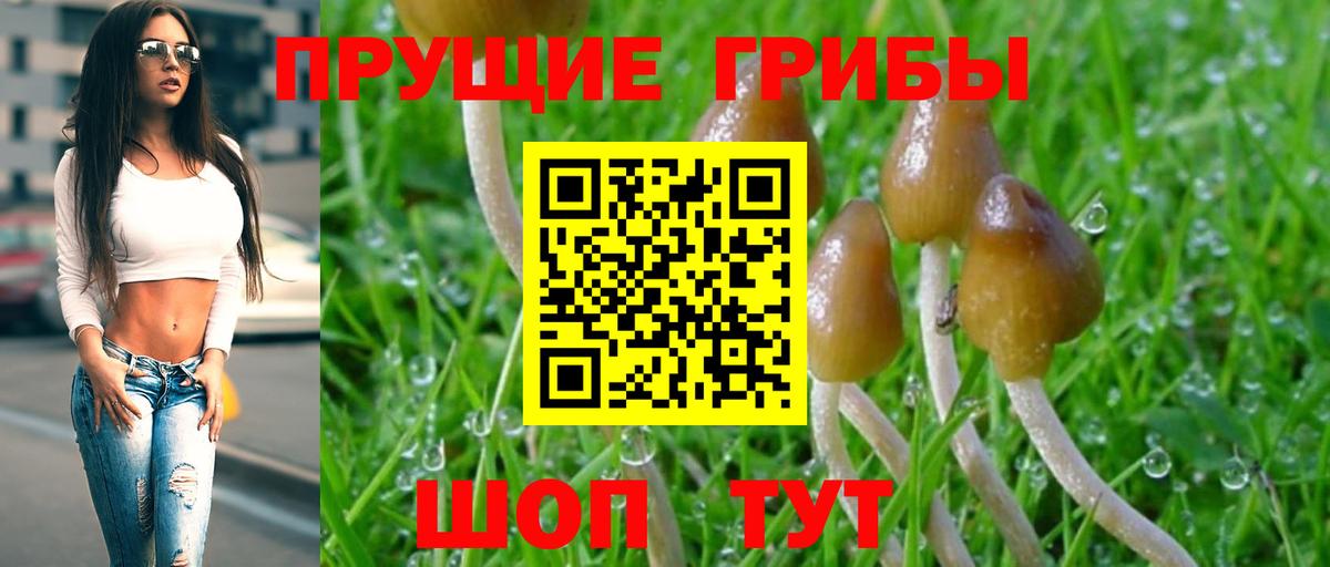 Галлюциногенные грибы Magic Shrooms  Вход с VPN  Реутов  Псилоцибиновые грибы Psilocybine cubensis 
